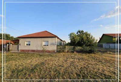 Opurtunitate si liniște Casa de vânzare la cheie Mocrea Jud. Arad - 30