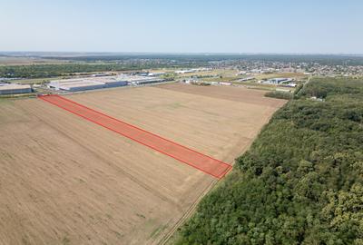 Teren Vanzare Intravilan Branesti - Investitie Zona Industriala Vis a Vis Makita - 9