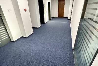 0% comision! Inchiriere birouri Gara de Nord, 200 - 440 mp - 14