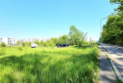 Teren intravilan, 2 fronturi, Drumul Padurea Pustnicu 65 - Greenfield - 19