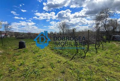 MIHAIL KOGALNICEANU-CASA BATRANEASCA ,TEREN 1975 MP - 3