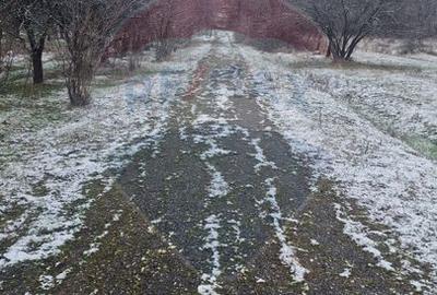 Teren 5,700mp Somcuta Mare / investitie cu potential major - 3