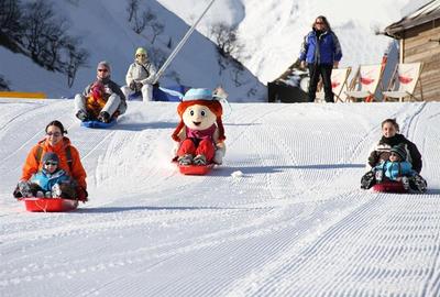 Teren cu Certificat Urbanism - 1