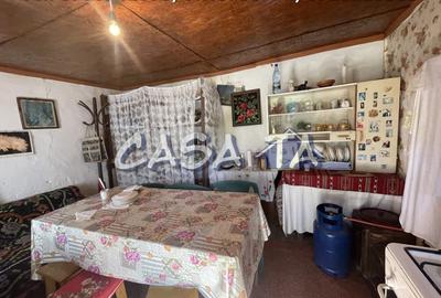Casa 4 Camere, Parter, Runcu - Baltisoara - 5