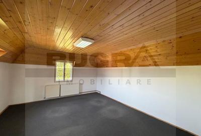 Casa individuala pentru BIROURI, 240mp, 6 camere,zona strazii S Albini - 17