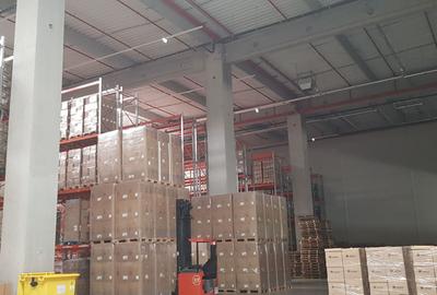 Spatii logistice de depozitare Soseaua de centura Stefanestii de Jos - 7