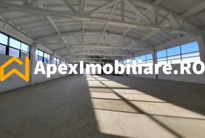 Hala Industriala Xenia – 1800 mp, Acces TIR, Parcare 50 Auto - 5