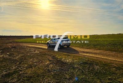 Teren 3823 mp. intravilan - Autostrada - Dedeman Agigea - 10