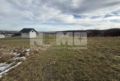 Teren Voievodeasa | 19.5Ari | Intravilan - 3