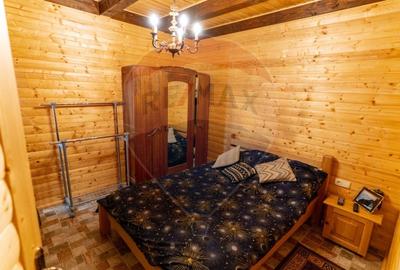 Casă din lemn Ribita,jud Hunedoara - 17