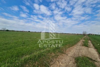 Teren intravilan de vânzare – Sânnicolau Mare, județul Timiș - 6