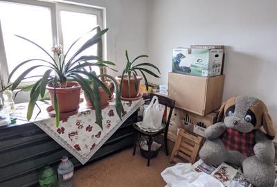 Apartament de vânzare, 4 camere, 80 mp, Dâmbul Rotund zona Dedeman - 16