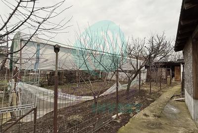 Casă parter + 1100 mp teren în Popești-Leordeni - 11