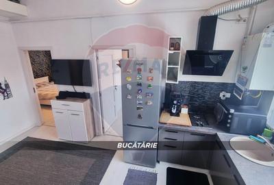Apartament 3 camere, doua niveluri, compartimentare unica-Victor Babes - 2