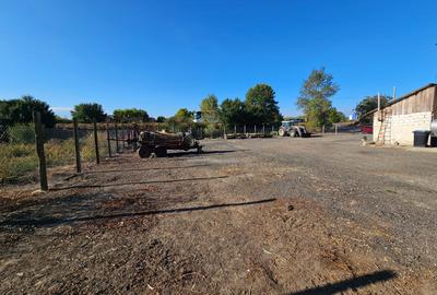 Oportunitate Teren deschidere la E87 Smardan Tulcea - 2