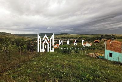 Teren intravilan | Hamba | 662 MP - 1