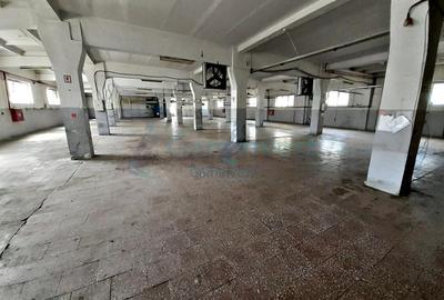 Spațiu industrial, 5000 mp în Seleuș