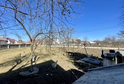 CASA RENOVATA + TEREN 3100 MP | CURTE SI GRADINA | FRATAUTII NOI - 22