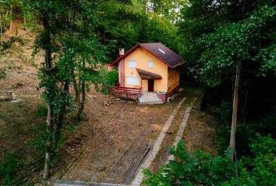 Casă de vacanță de vânzare în Drăganu, Argeș + teren 1.292mp - 22