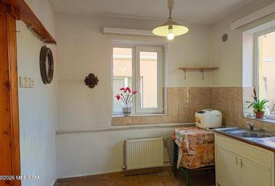 Lunei - Ion Neculce, 2 Apartamente. Mansarda 157 mp. Anexe, Lot 475 mp - 19