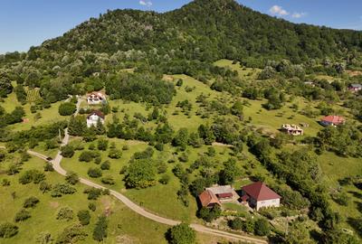 Teren intravilan 5.105 mp, Baia Sprie, la intrare pe Valea Chiuzbăii - 3