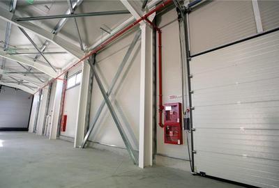 Inchiriere depozit/hala/spatiu industrial/showroom Afumati - Doraly - DN2, ILFOV - 10