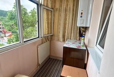 Apartament cu 2 camere decomandat - Pacurari - Toma Cozma - 7