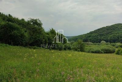 Teren de vanzare, 20.000Mp , Comuna Danes, drumul Crisului - 13