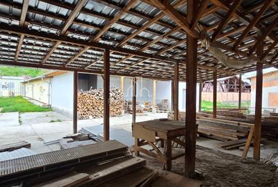 Teren + hale industriale 8785mp + casă–Oportunitate investiție / producție – - 38
