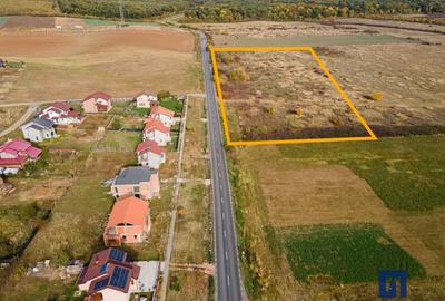 Teren ideal ca investiție, 19000 mp, în Pișchia pe DJ691, comision 0 - 5