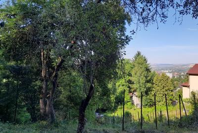 Vand teren intravilan cu toate utilitatile in zona Platou-Cornesti - 2
