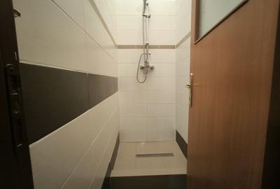 Spatiu Comercial Micalaca, Malul Muresului, zona 300 vizavi UAV - 15