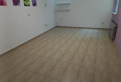 Vanzare vila p+2, birouri sau clinica, 9 camere,   Dorobanti (liceu Caragiale) - 8