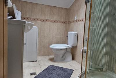 Apartament 2 camere Centrul Civic,mobilat-utilat modern,400 Euro - 8