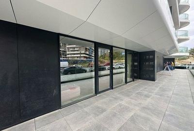 Spatiu comercial de inchiriat in Zona Floreasca. Oportunitate de investitie - 2