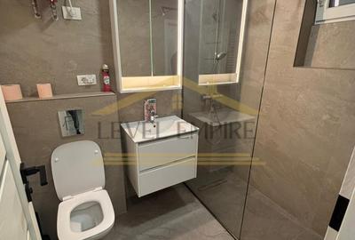 Vânzare Apartament 3 Camere Piața Gorjului Iuliu Maniu Dezrobirii Apusului - 11