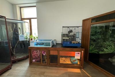 Cladire cu un aspect aparte de inchiriat in Centrul Focsaniului - 18