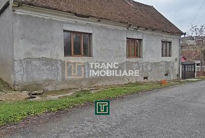 Casă de vânzare cu 4 camere în Zăbrani, teren 578 mp, front generos - 17