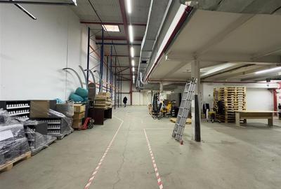 Hala, showroom birouri Pacurari rond Mall Moldova de la 40mp la 1000mp - 11