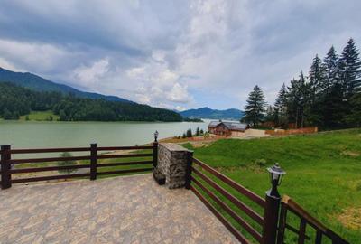 Cabana cu accesc la lac, 1400mp teren Colibita - 17