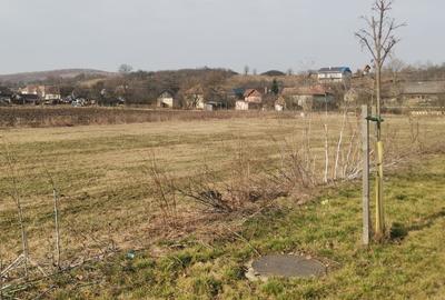 Teren intravilan Colina Noua - 1