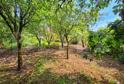 Casa individuala Iris, 770 mp teren, 110 mp utili, zona Rivus - 5