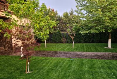 Fundulea – Vila individuala  P+1 cu teren 1000 mp - 2