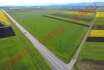 Teren extravilan de vânzare pe DN13E, vis-a-vis de intersecția spre Angheluș! - 4