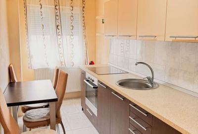 Apartament cu o cameră, decomandat – Rogerius - 5