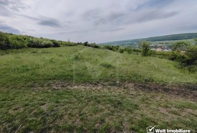 8.700 mp pentru dezvoltare rezidentiala la 3 km de CREIC - Chinteni - 6