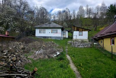 Teren 711mp Hangu / DN GROZAVESTI - 13