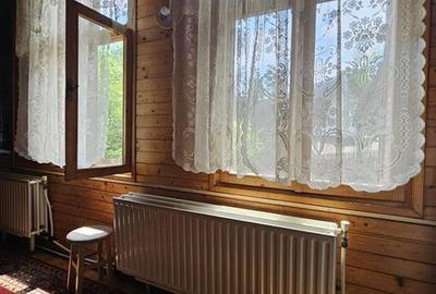 CASA DE VACANTA + TEREN PROPRIETATE IN STATIUNEA MONTANA SLANIC MOLDOVA - 26