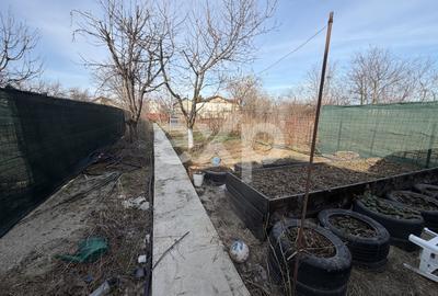 Jilva granița Măgurele 140 mp utili 1091 mp  piscina,solar toate utilitățile - 11