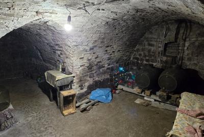 Casa de vacanta Odobesti - 2